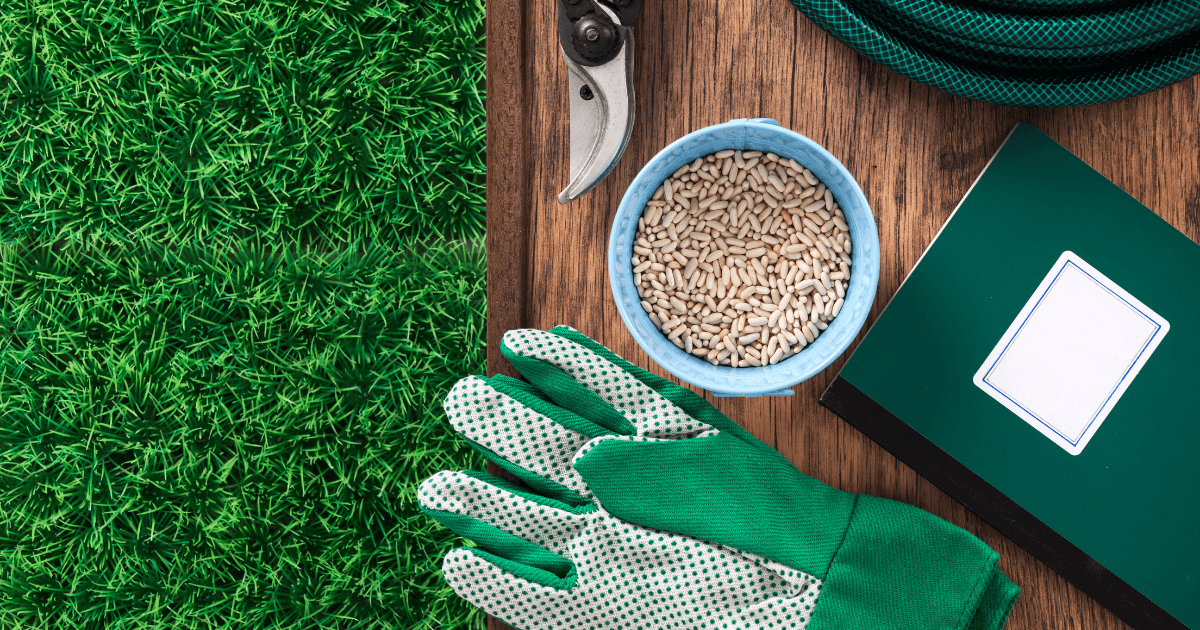gardening essentials
