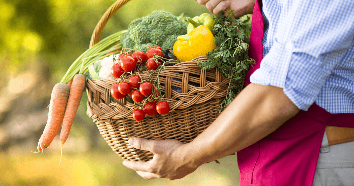 basket of vegetables