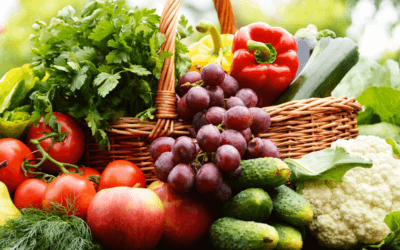 Gardening Essentials: A Beginner’s Guide Made Easy!