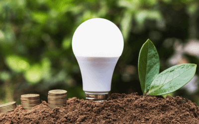 5 Eco-Friendly Tips That Save You Money