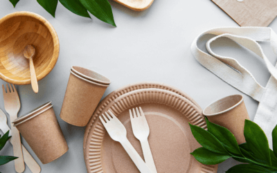 Sustainable Living: 8 Tips For Going Green at Home