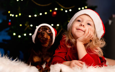 Dreaming of a Green Christmas: A Guide to Eco-friendly Celebrations