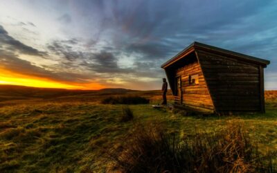 The Tiny Homes Movement: A Growing Trend in Modern Living