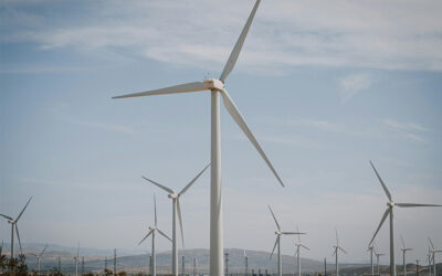 Beyond the Bill: What to Consider When Choosing a PA Energy Supplier