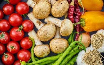 Growing With Care: A Personal Look at Earth-Friendly Farming