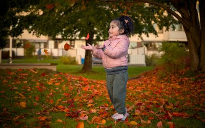 October Energy Check: Why Now Is a Good Time to Think About Your Power Supply