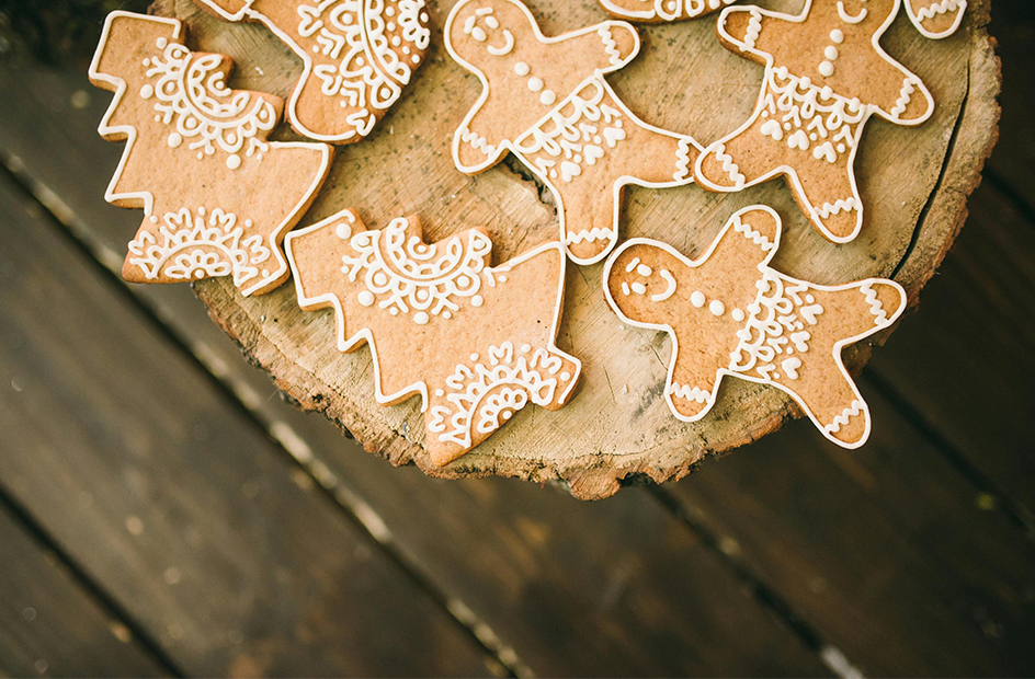 December Feature - A Season of Light A Season of Renewal -08